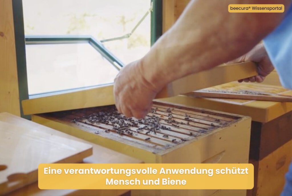 Imkerliche Kontrolle eines Bienenvolkes zum Schutz des Bienenwohls bei der Bienenstockluft-Anwendung