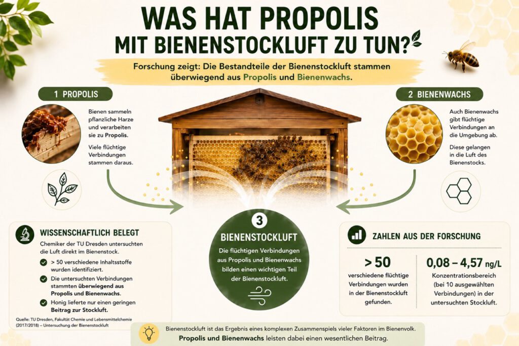 Propolis und Bienenwachs als wichtige Quellen flüchtiger Verbindungen in der Bienenstockluft