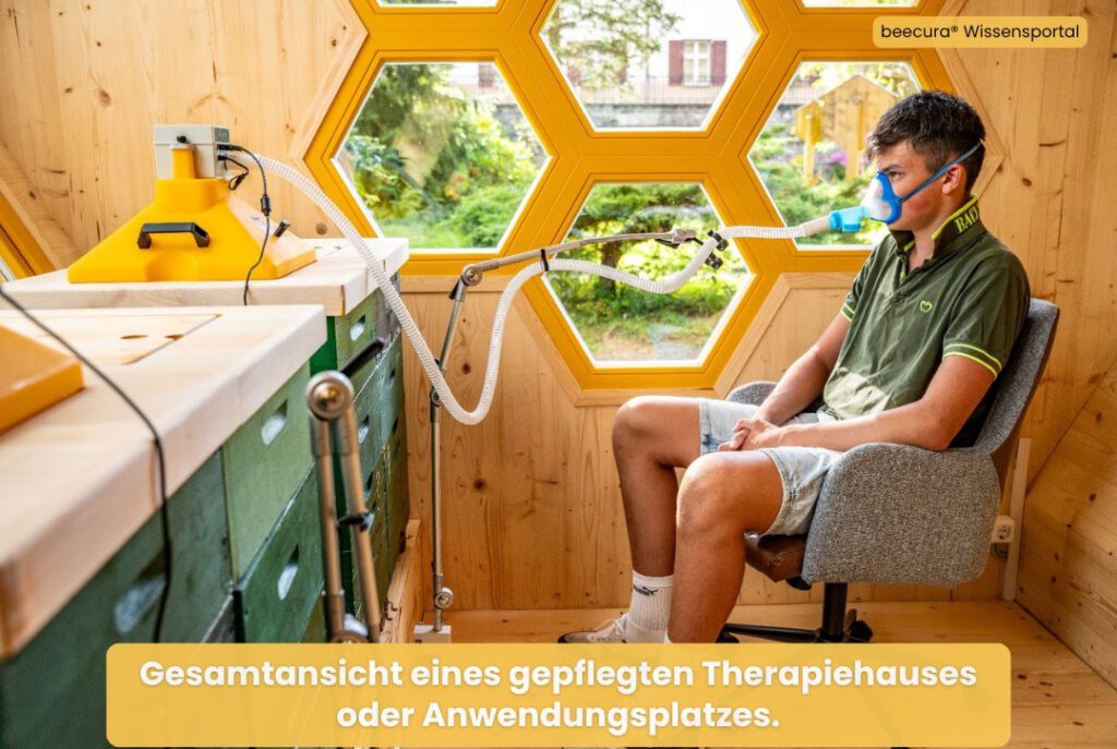 Zwei Bienenvölker für eine ausgewogene und bienengerechte Bienenstockluft-Anwendung