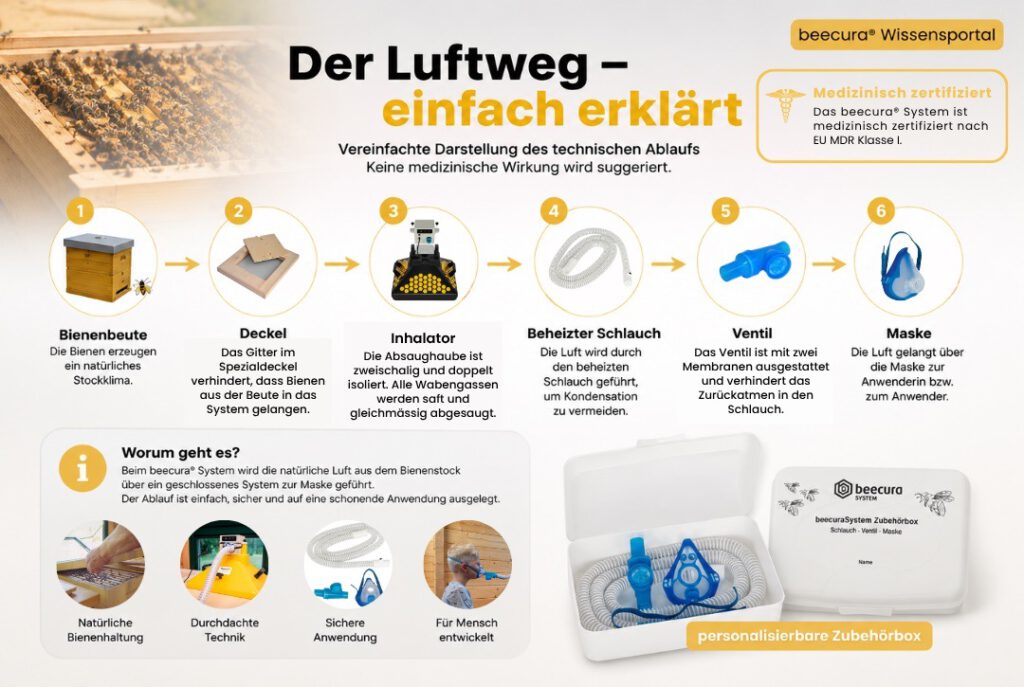 Vereinfachte Darstellung des Luftwegs beim beecura System vom Bienenstock bis zur Atemmaske